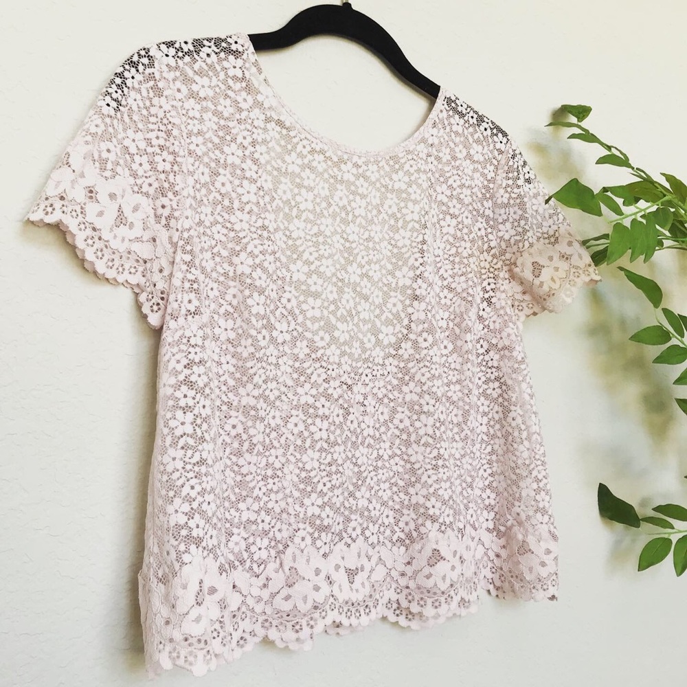 Victoria’s Secret Floral Lace Crop Top Pink, S